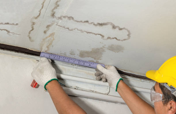 Reliable Mold Remediation contractor in Jamestown, CO by Water Damage Irwin